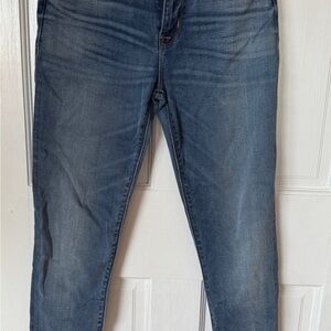 Hudson High Rise Skinny Blue Jeans